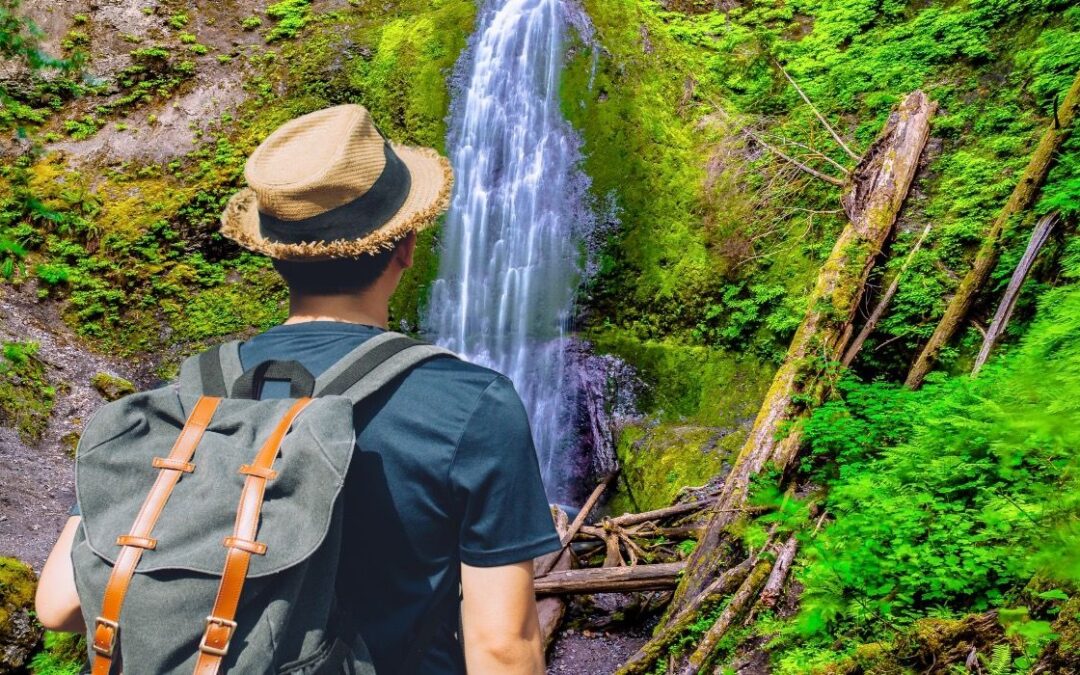 This Scenic Olympic National Park Trail Takes Under An Hour To Hike