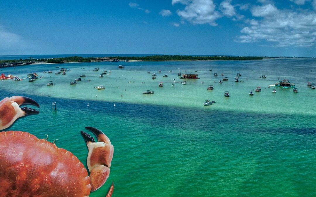 Why Crab Island Should Be On Your Florida Bingo Card